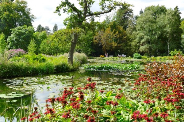 Longstock Water Gardens