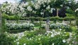 longstowe-hall-rose-garden.jpg