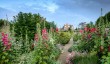 loseley-garden.jpg