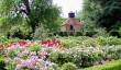 loseley-park-gardens.jpg