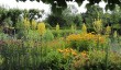 loseley.jpg