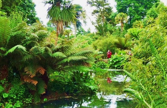 Lost Gardens of Heligan 