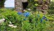 lowther-castle-6.jpg