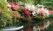 lukesland-water-garden.jpg