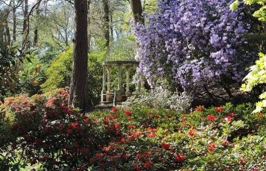 Lydney Park Spring Garden