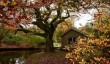 lyme-park-autumn.jpg