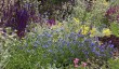 lyme-park-garden.jpg