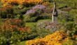 lyme-park-summer.jpg