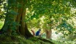 lyme-park-woodland.jpg