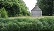 lytes-cary-manor-garden.jpg