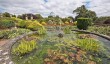 manderston-house-gardens.jpg