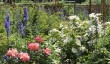 mannington-hall-gardens.jpg