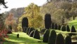 mapperton-topiary.jpg