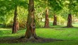 marks-hall-garden-25.jpg