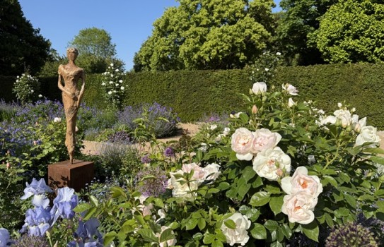 Markshall Garden and Arboretum