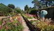 marwood-hill-nursery.jpg