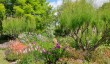 merriments-garden-summer-2022.jpg