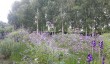 merriments-gardens-sussex.jpg