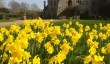 michelham-priory-garden.jpg