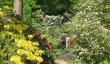 minterne-garden-dorset.jpg