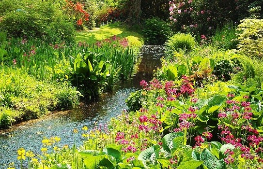 Minterne Gardens Minterne Gardens
