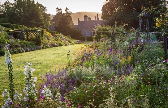 The Garden at Miserden