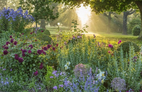 Morton Hall Garden