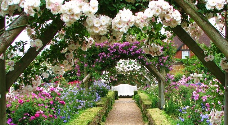 Mottisfont Abbey Rose Gardens