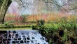 mottisfont-winter-garden.jpg