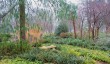 mottisfont-winter-gardens.jpg