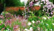 mottisfont_ros_garden.jpg