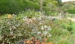 mottistone-iow.jpg