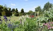 mount-ephraim-gardens-kent.jpg