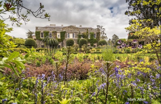 Mount Stewart Gardens