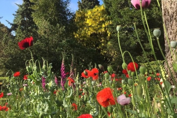 Myddleton House Garden