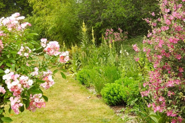 Myddleton House Garden