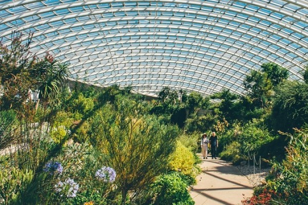 National Botanic Garden of Wales