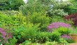 national-trust-garden-norfolk.jpg