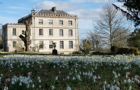 Newark Park Snowdrops Newark Park Snowdrops