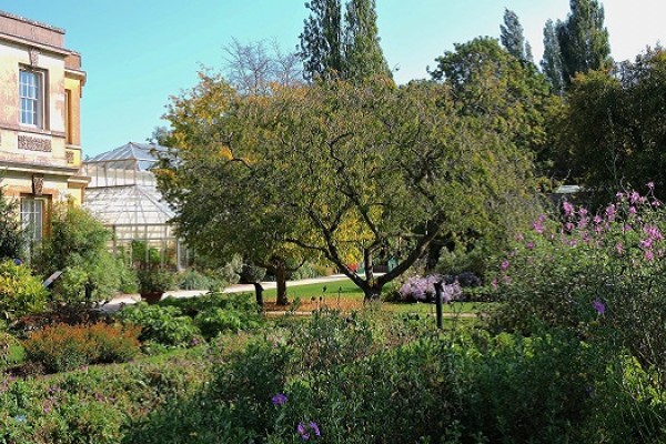 Oxford University Botanic Garden
