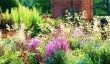 packwood_house_garden.jpg