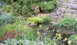 parceval-hall-rock-garden.jpg