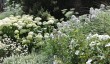 parham-park-garden-in-sussex.jpg