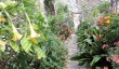 parham-park-garden.jpg