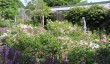 parham-park-gardens-in-sussex.jpg