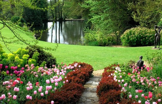 Pretty pink tulips leading you down to the lake at Pashley Manor Gardens