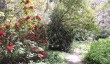 penjerrick-cornwall-garden.jpg