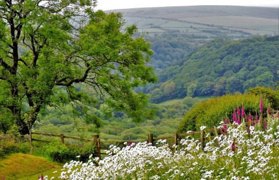 Penlan Uchaf Gardens