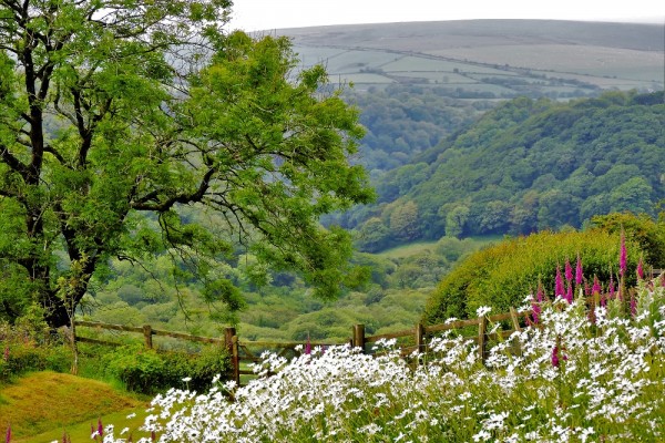 Penlan Uchaf Gardens