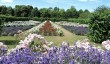 penshurst-rose-parterre.jpg